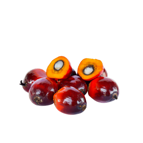 2 Liters Palm Oil (1.5L Actual Volume)